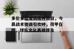 爱游戏登录入口 -多伦多猛龙队球衣